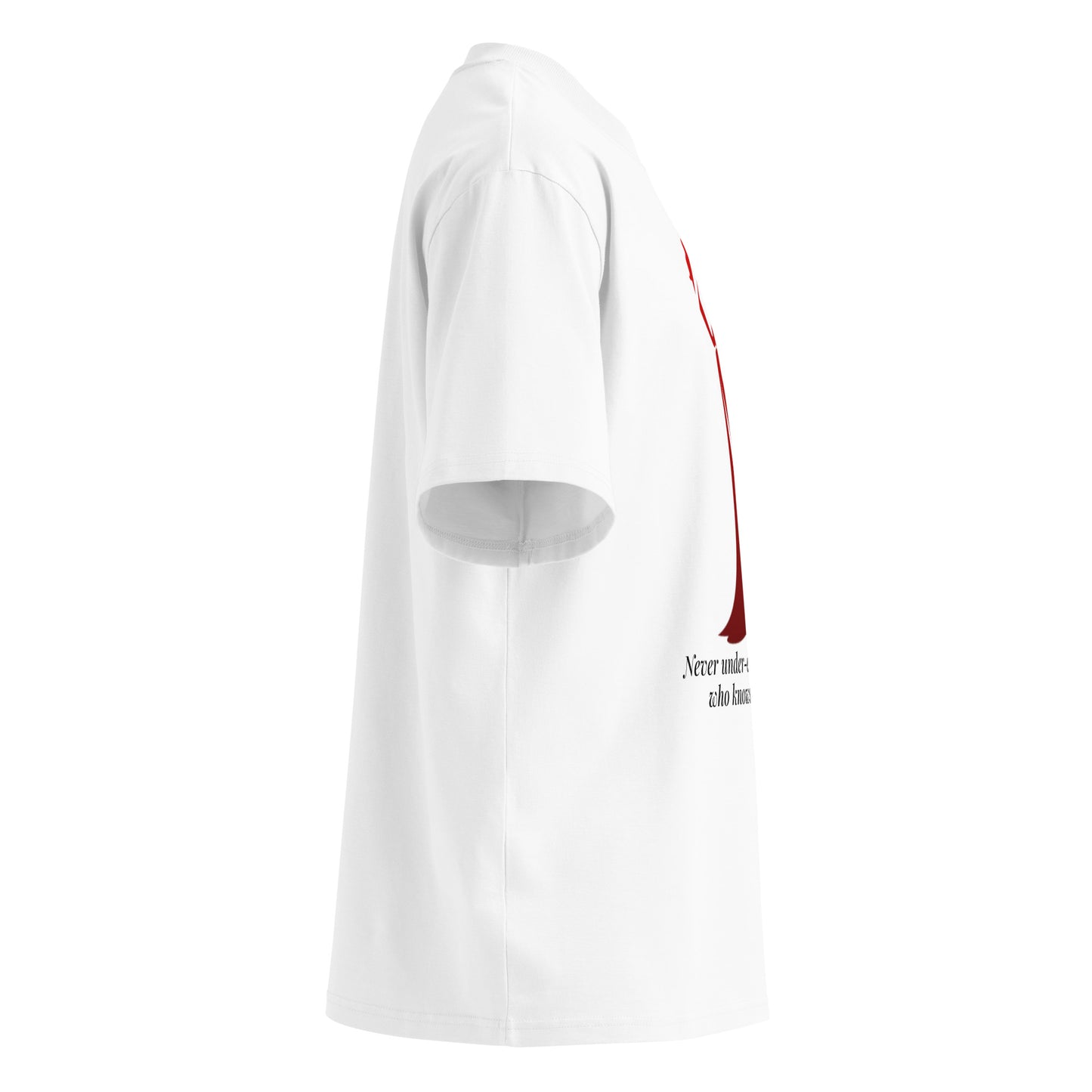 Sustainable oversized casual t shirt - Grounded Rising